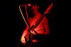 Black Box: Dog Party Bluesband