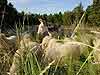 NaturErlebnisTage 2001