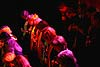 Celebration Gospelchor & Band - Konzert 2006