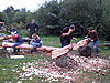Wiehler NaturErlebnisTage 2008