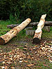 Wiehler NaturErlebnisTage 2008