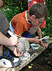 Impressionen der NaturErlebnisTage 2010