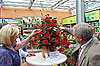 Dahlientaufe im Gartencenter Bergerhoff