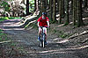 4. Wiehler Fire-Ironman