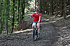4. Wiehler Fire-Ironman